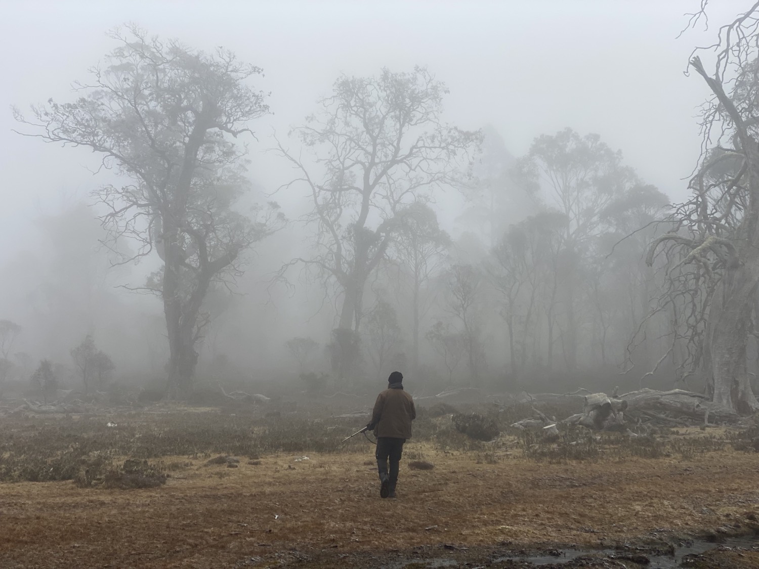 Phillip Bigg walking a Tasmanian track in the fog